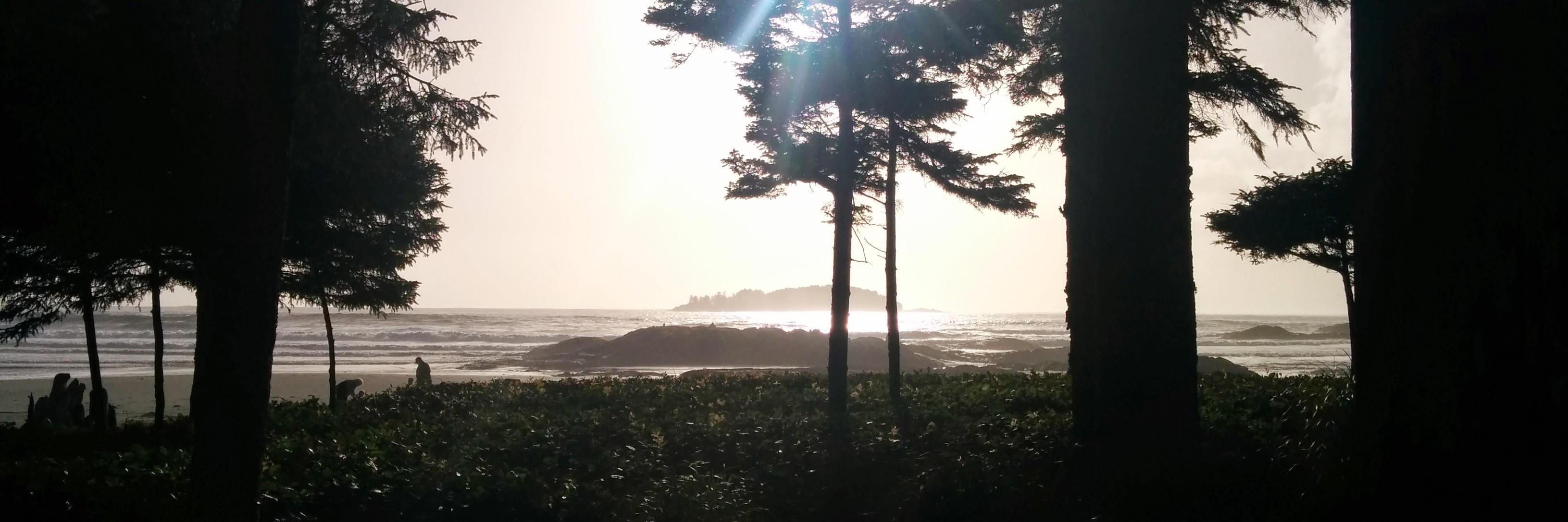 nicholas harrison banner