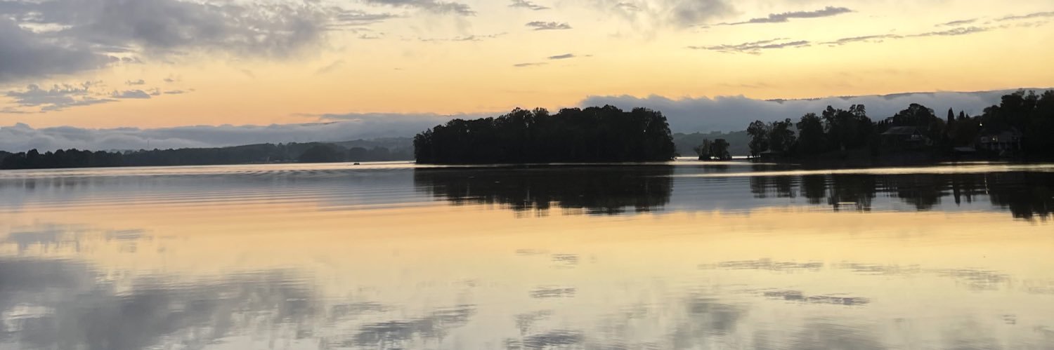 Rizzrer banner