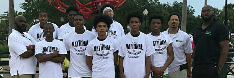 Capital City Vipers 14U banner