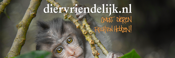 DIERVRIENDELIJK NEDERLAND * Est. 1989 Profile Banner