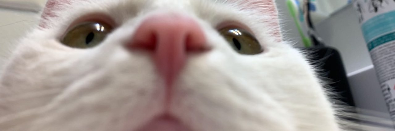 SeanADDis74's profile banner image