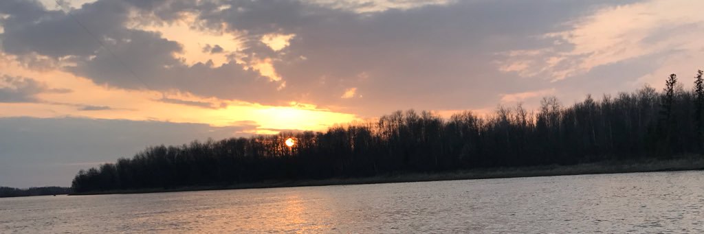 AllisonLyn16's profile banner image