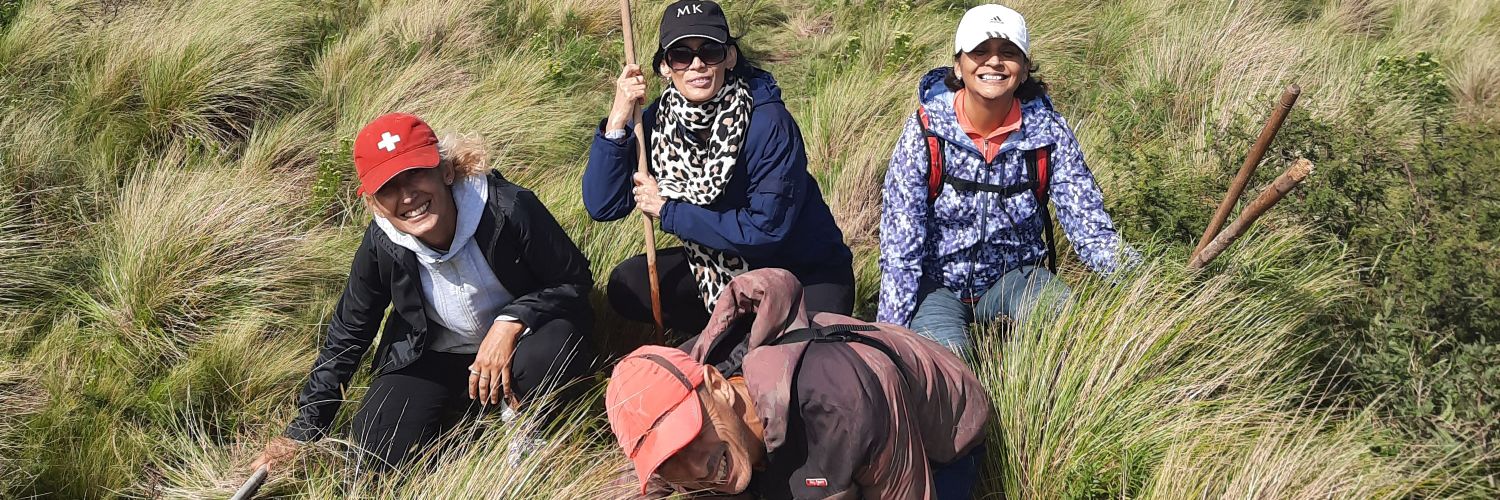 Fernanda Martinez banner