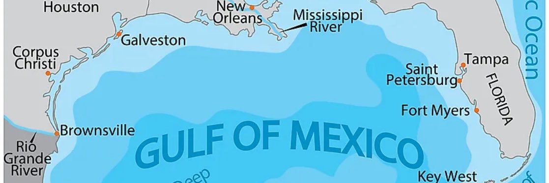 BlueTiltMom's profile banner image