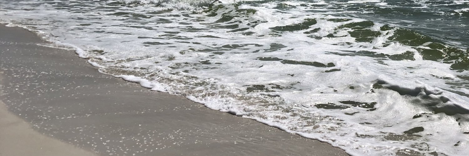 AmericanMom banner