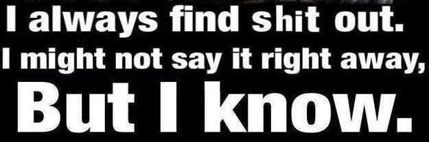 Boris Borealis banner