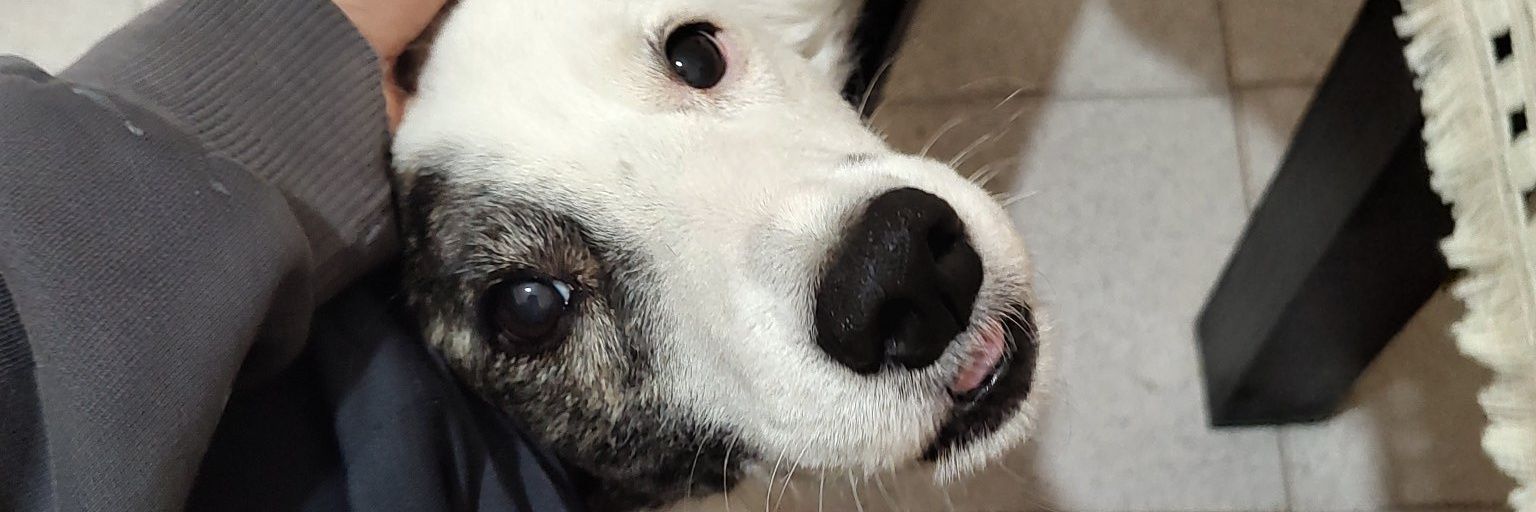 brenresss's profile banner image