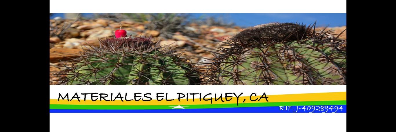 ElPitiguey's profile banner image