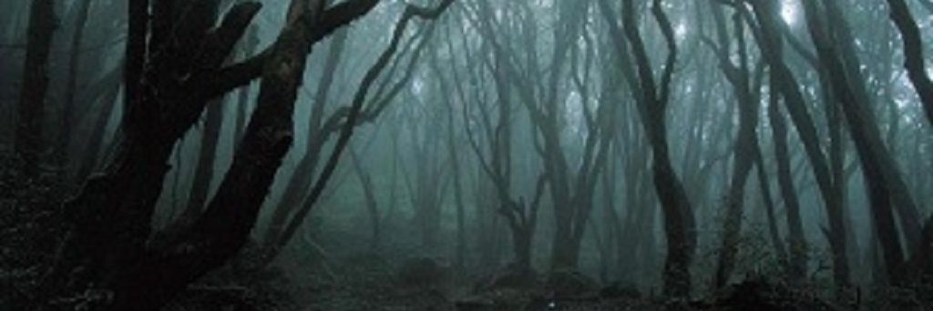 xsweetmagic's profile banner image
