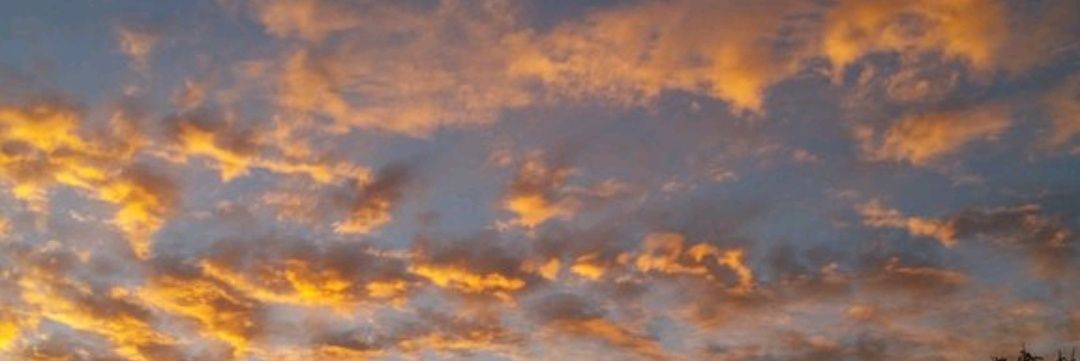 NLM4Life's profile banner image
