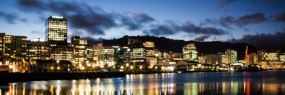 WordPress Wellington banner