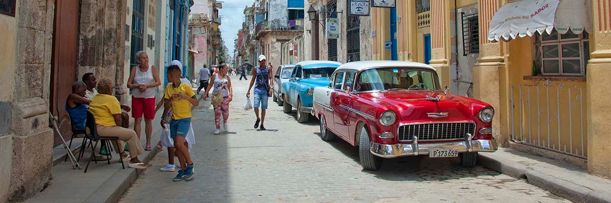 Rebecca L. Rhoades banner