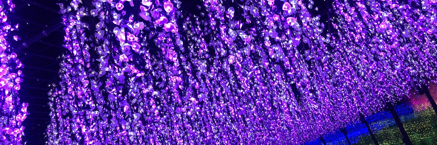 nk____708's profile banner image