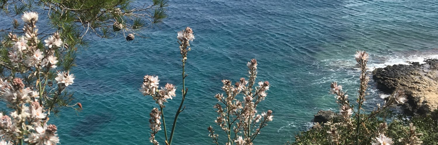 maggiesimpsonsc's profile banner image