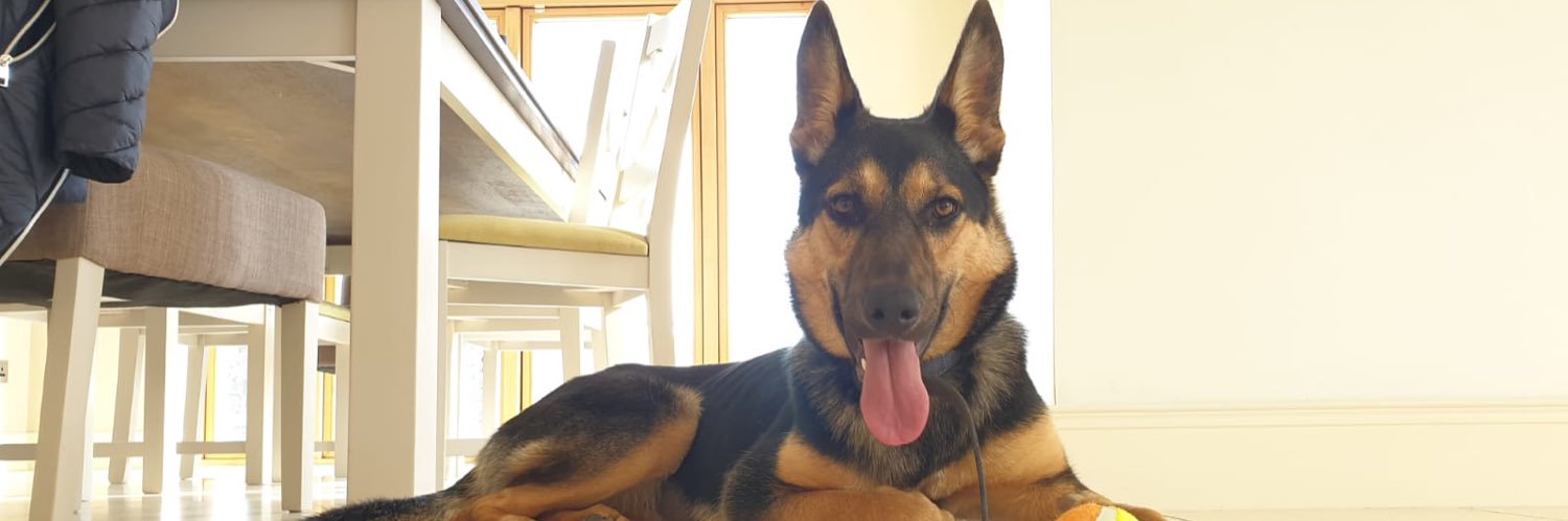 Michael E Whyte banner