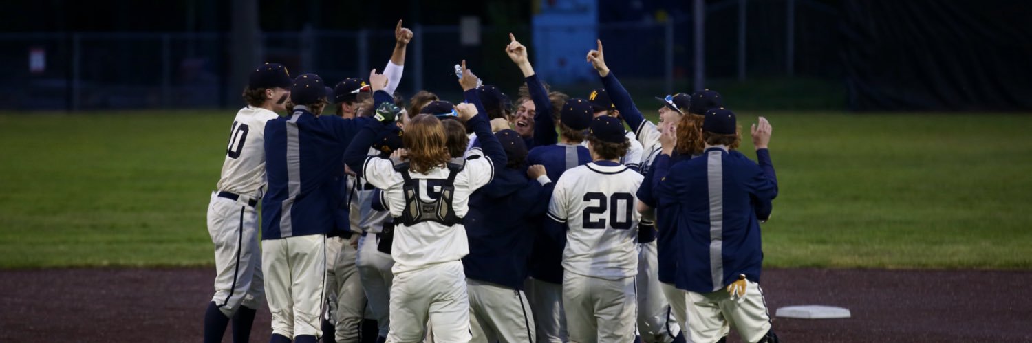 WSHS baseball banner
