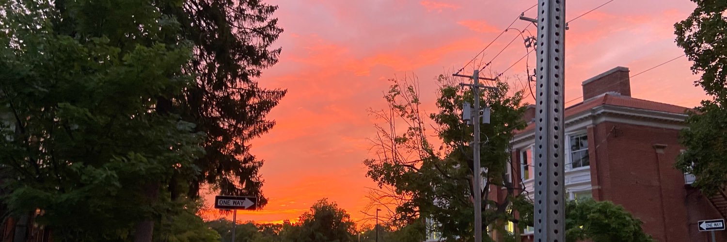llisonnagy's profile banner image