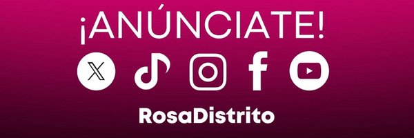RosaDistrito Profile Banner