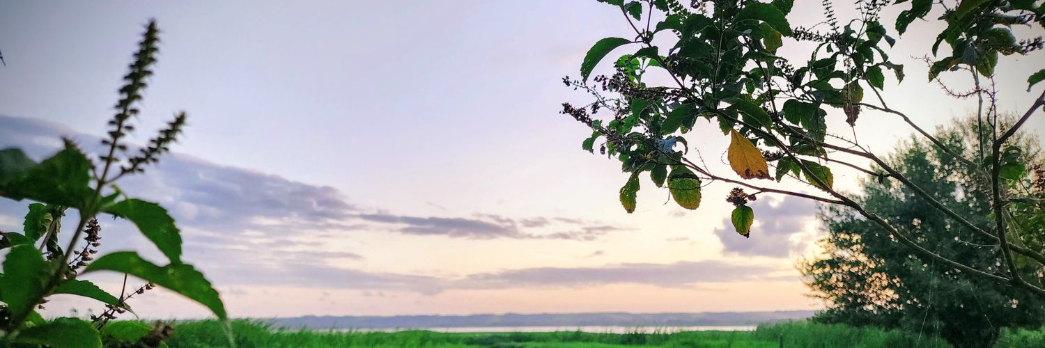 AudirFla's profile banner image