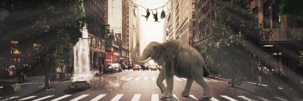 1/2Man1/2Amazing banner