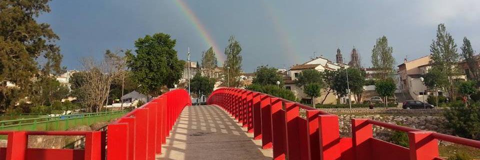 ribes.org - spr banner