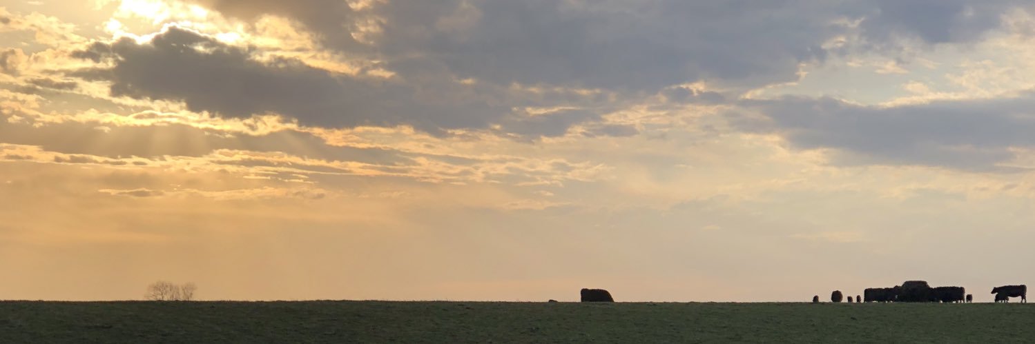 cschnieders7's profile banner image