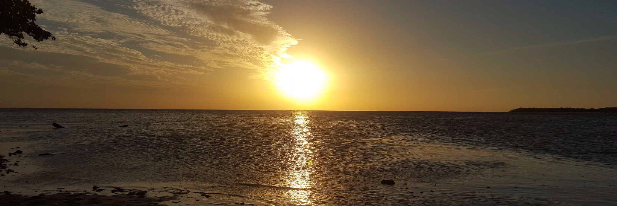 lmendez628's profile banner image
