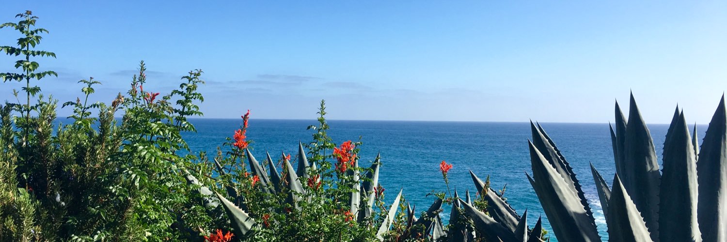 ericakline_'s profile banner image