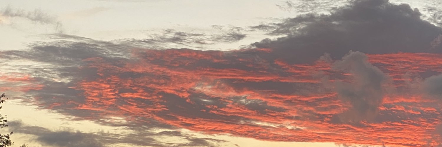 igobyfrench's profile banner image