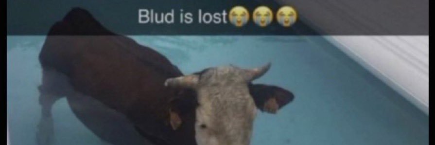 otto banner