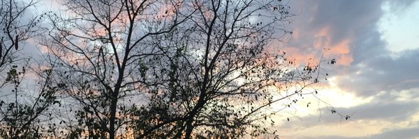ThienChiTran Profile Banner