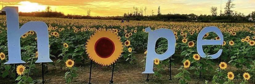 RachelRestifo's profile banner image