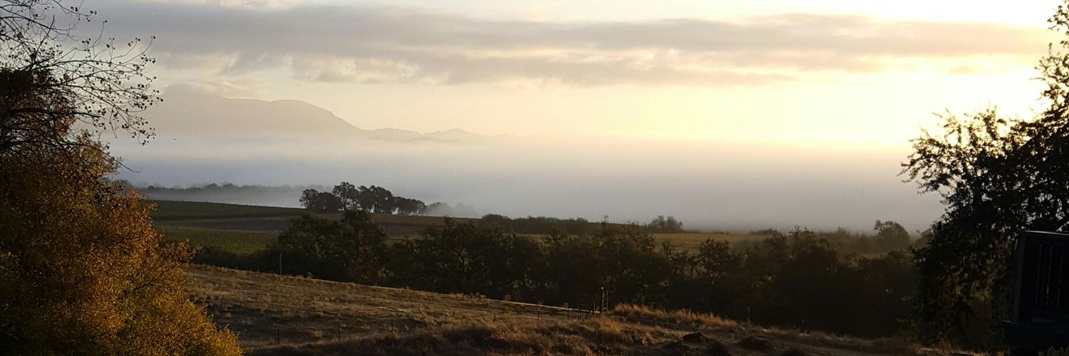 deededixon's profile banner image