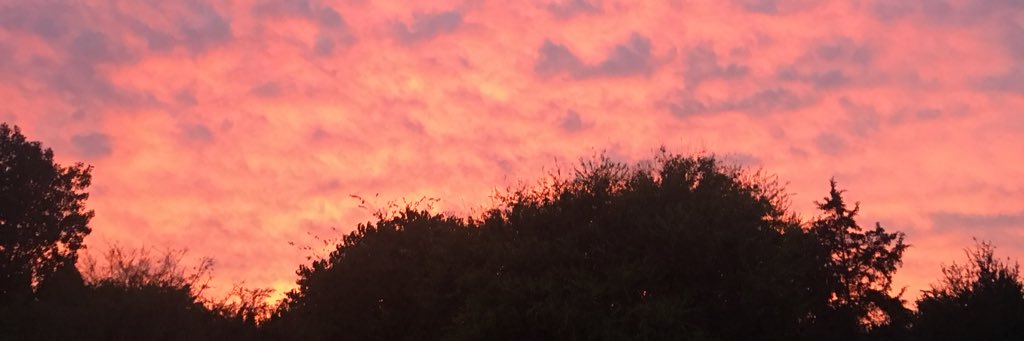 NCMom8's profile banner image