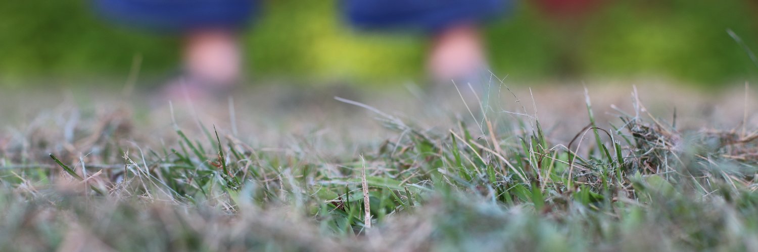 eeaspinall's profile banner image
