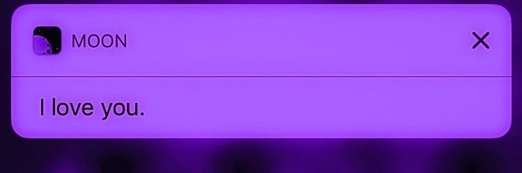yeppoara/ banner