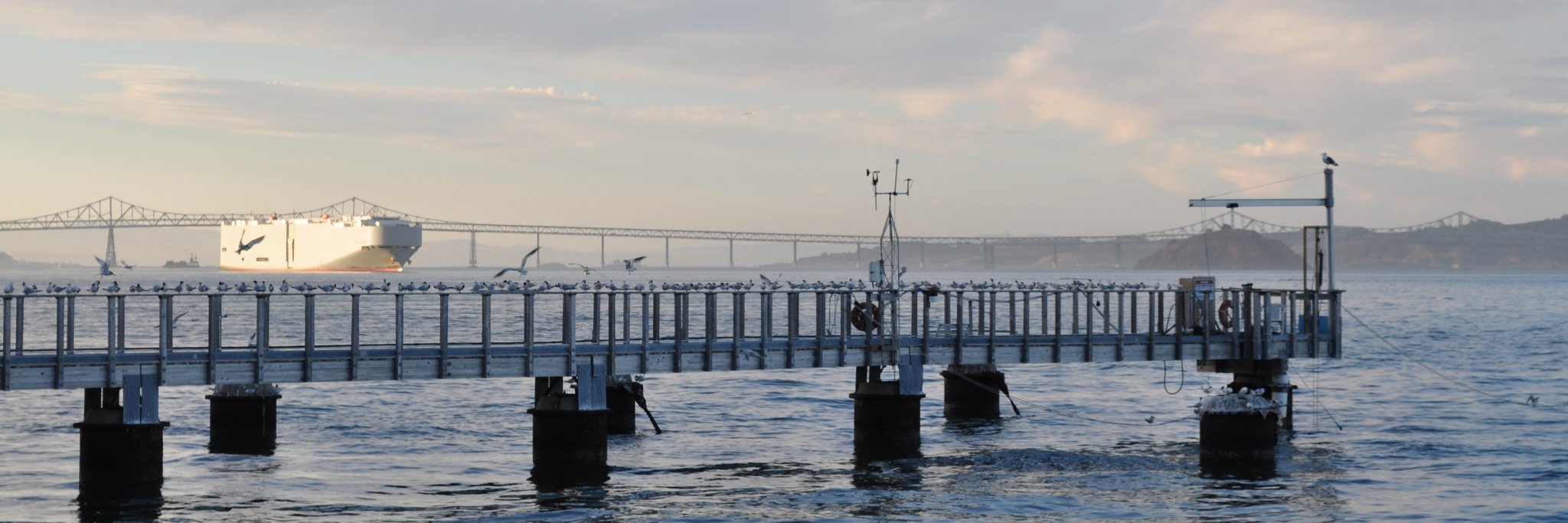 Estuary&OceanScienceCtr banner