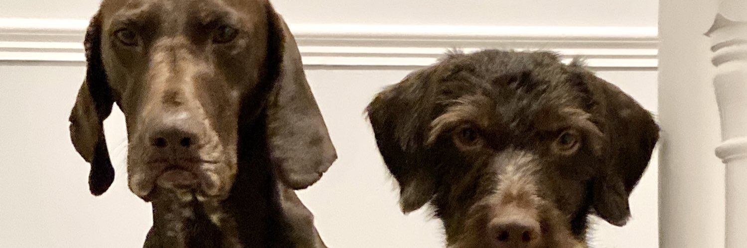 nedski67 🔴 ⚪️🌳 banner