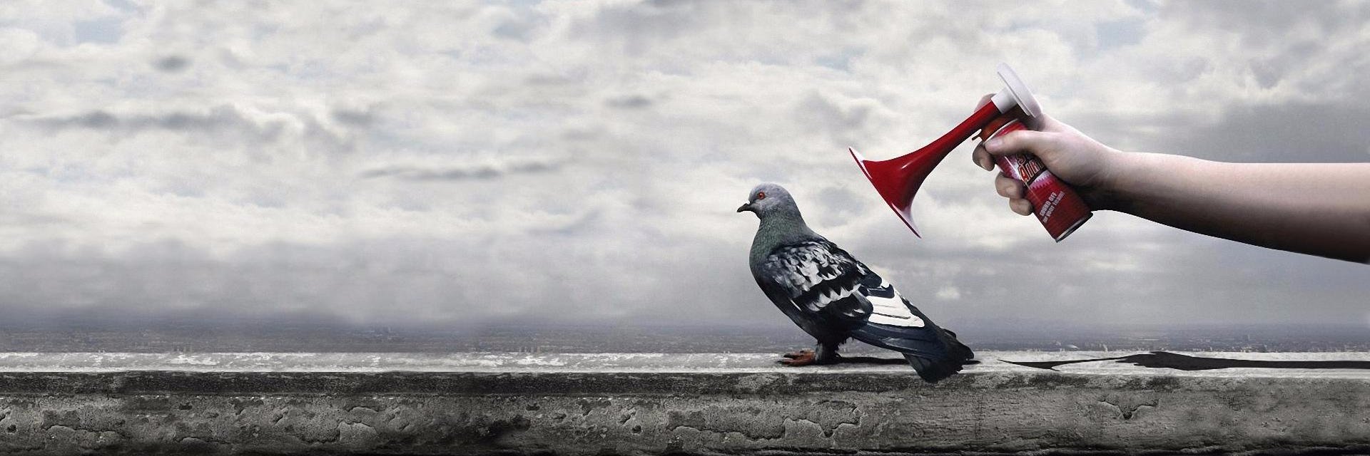 NewssViral's profile banner image