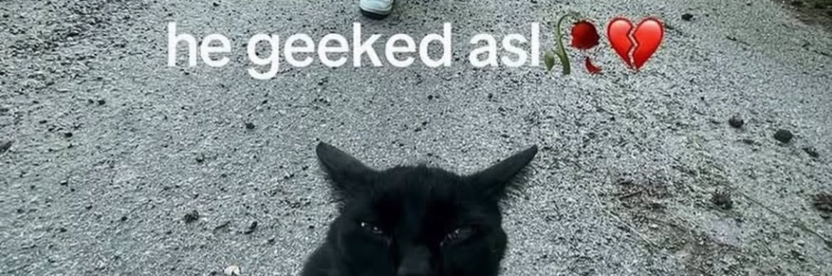 John Jacob Castor banner