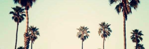 beratau_'s profile banner image
