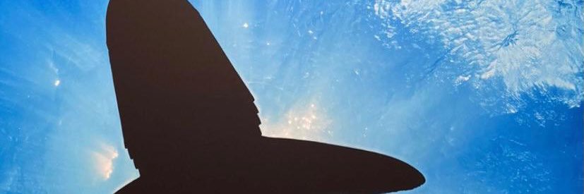 vapordeagua's profile banner image