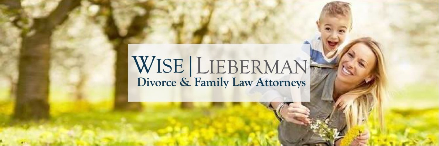 WiseLieberman's profile banner image