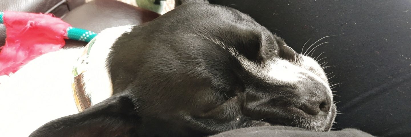 effygracecams's profile banner image