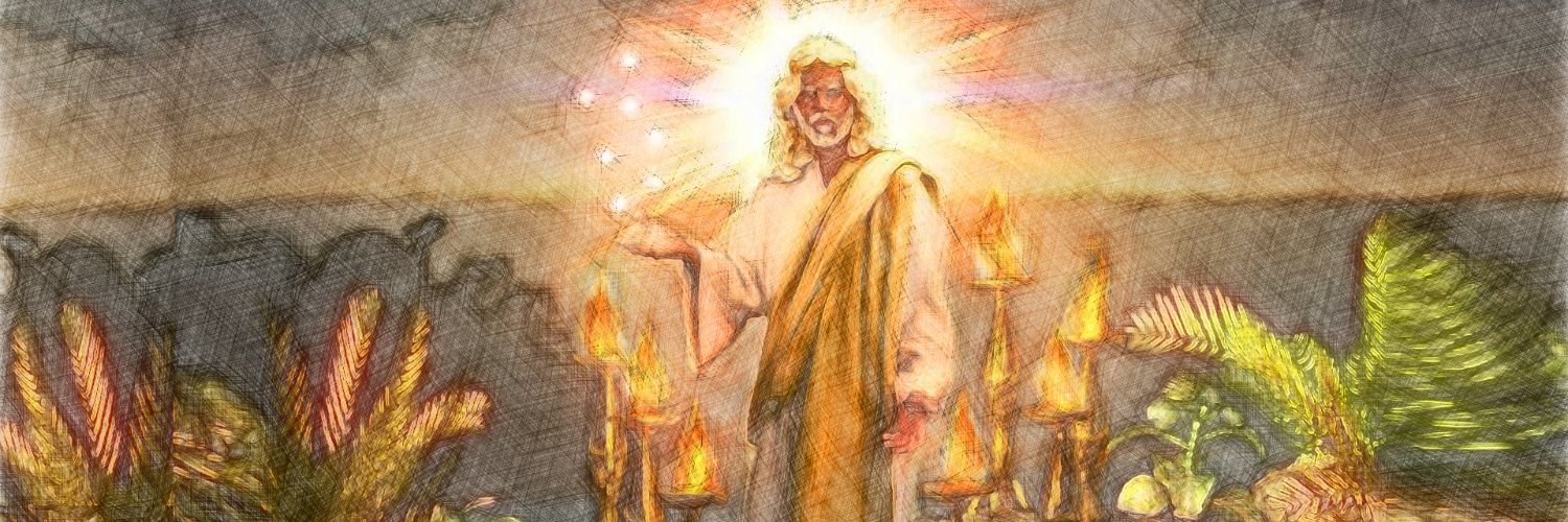 Staci Morrison banner