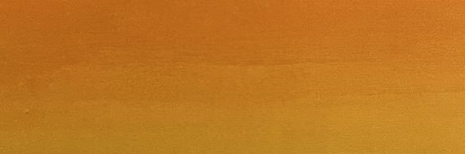 Gabrielle Wilson banner