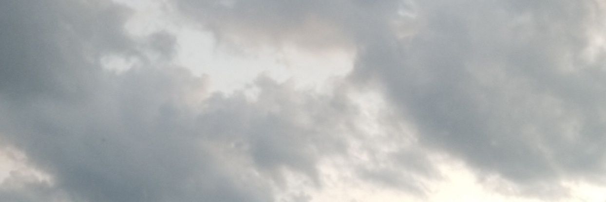 Cran_19's profile banner image
