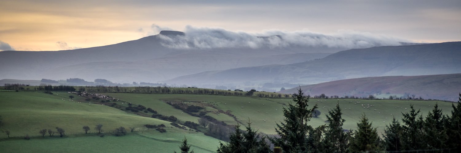 Tommy_crossman's profile banner image