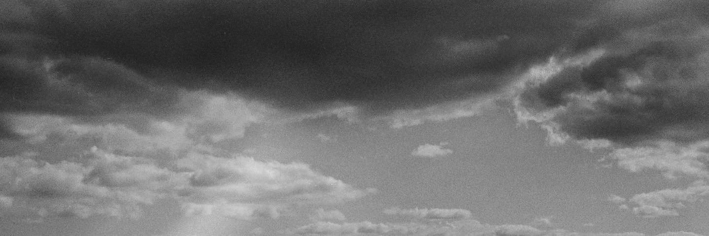 I Alexander SC banner