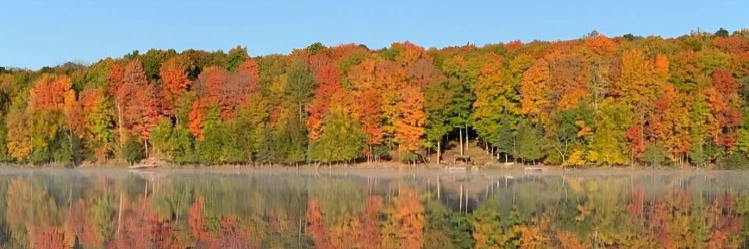 Emily166664's profile banner image